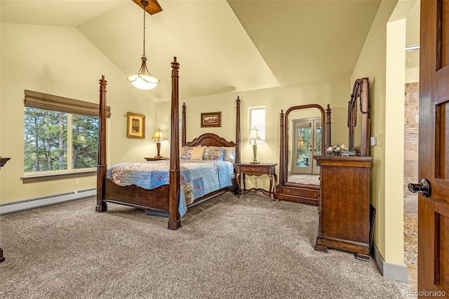 459 County Road 85, Guffey, CO 80820 - bedroom featuring carpet floors, lofted ceiling, and baseboard heating