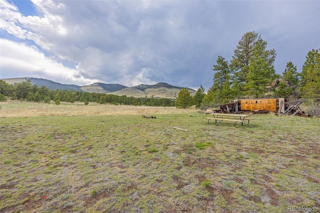459 County Road 85, Guffey, CO 80820 - view of yard with a mountain view and a view of rural / pastoral area