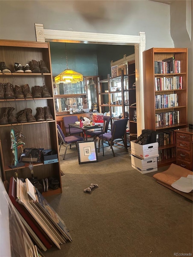 36 N Logan St, Denver, CO 80203 - living area with carpet flooring