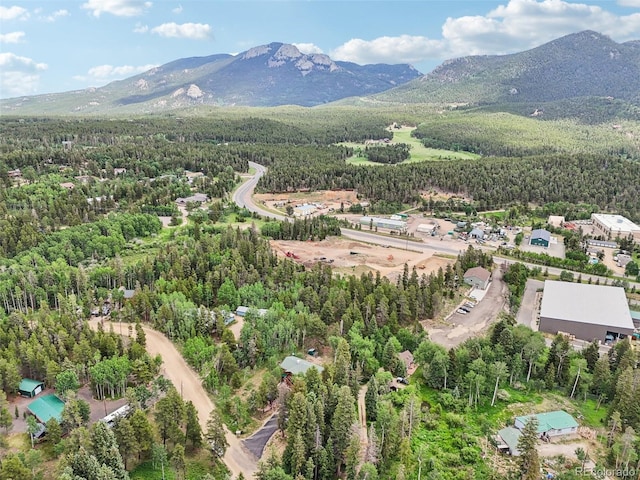 466 Karlann Dr, Black Hawk, CO 80422 - photo 44