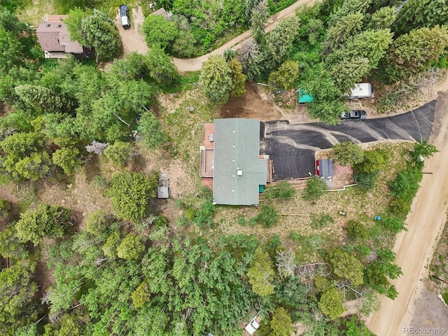 466 Karlann Dr, Black Hawk, CO 80422 - photo 49