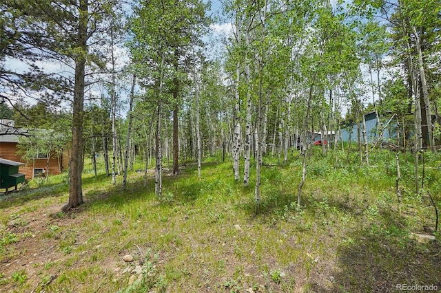 466 Karlann Dr, Black Hawk, CO 80422 - photo 42