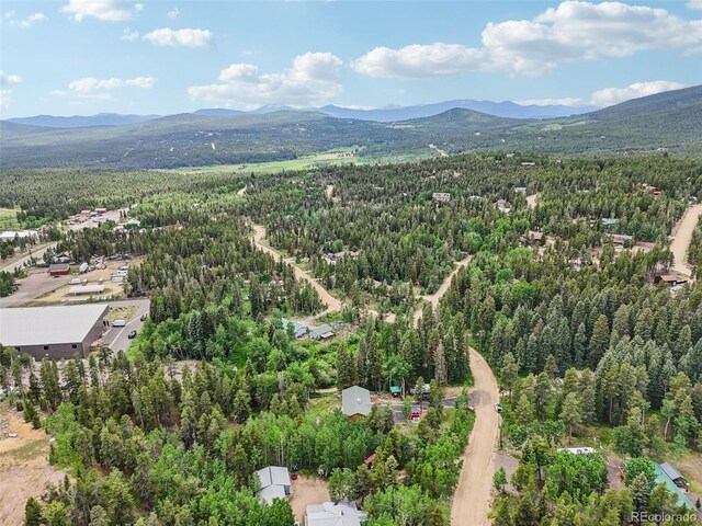 466 Karlann Dr, Black Hawk, CO 80422 - photo 46