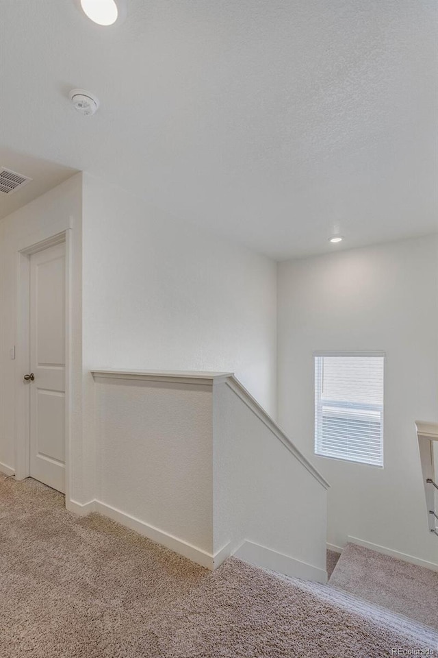 250 Chardon Ave, Brighton, CO 80601 - photo 17