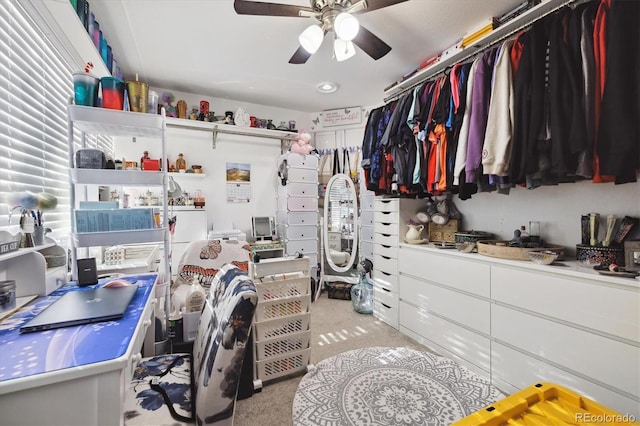 walk in closet featuring ceiling fan and light carpet