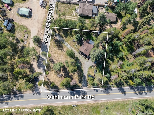 22656 Oehlmann Park Rd, Conifer, CO 80433 - photo 4