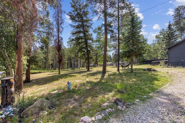 22656 Oehlmann Park Rd, Conifer, CO 80433 - photo 33