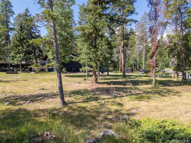 22656 Oehlmann Park Rd, Conifer, CO 80433 - photo 34