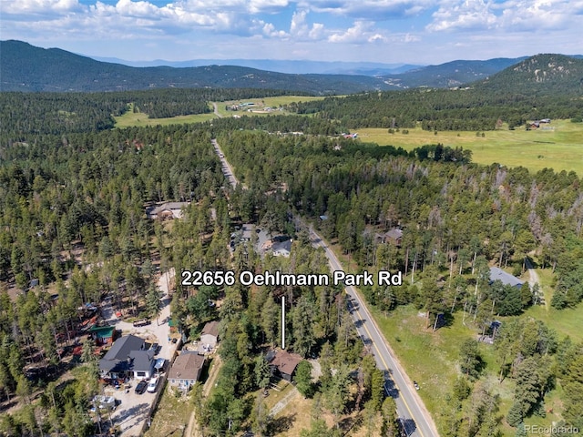 22656 Oehlmann Park Rd, Conifer, CO 80433 - photo 35