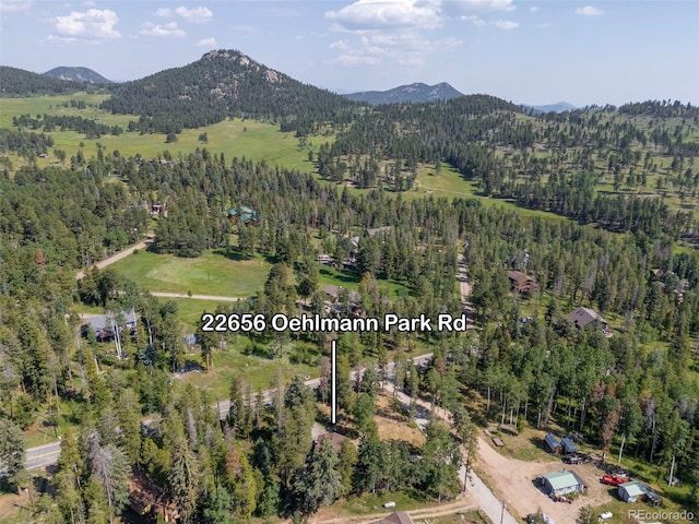 22656 Oehlmann Park Rd, Conifer, CO 80433 - photo 36