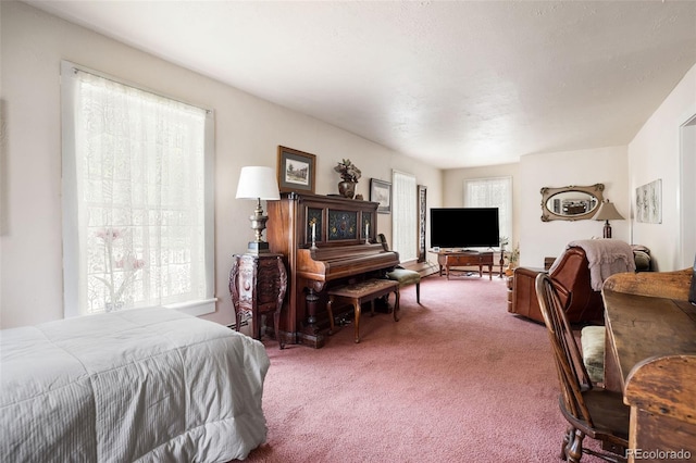 715 Main St, Georgetown, CO 80444 - view of carpeted bedroom