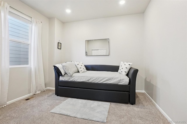 6028 Corral St, Brighton, CO 80601 - photo 23
