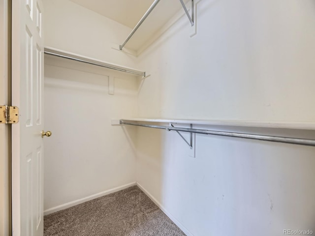 12265 E 2nd Dr, Aurora, CO 80011 - walk in closet featuring carpet