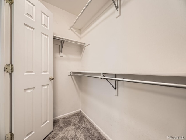 12265 E 2nd Dr, Aurora, CO 80011 - walk in closet with dark carpet