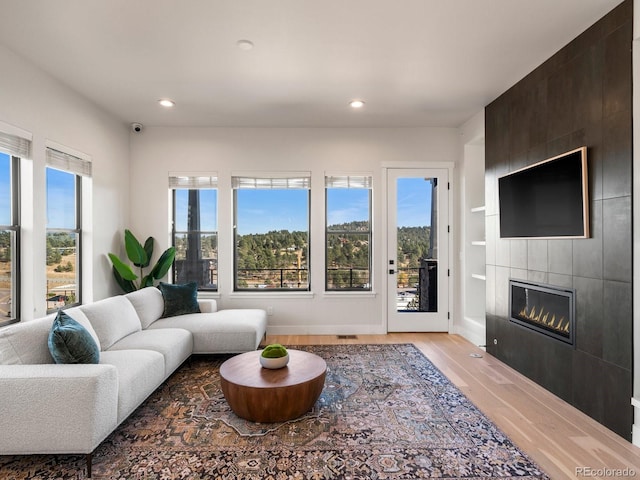 living room featuring a fireplace, wood-type flooring, and a healthy amount of sunlight