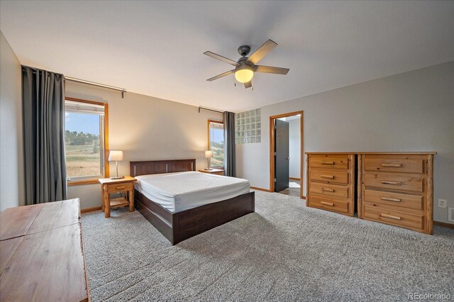 7082 Silverhorn Dr, Evergreen, CO 80439 - photo 16