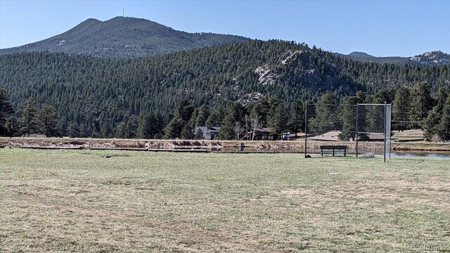7082 Silverhorn Dr, Evergreen, CO 80439 - photo 40