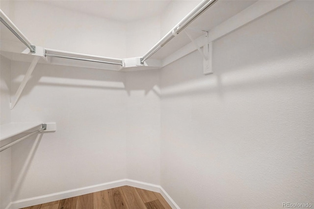 spacious closet featuring hardwood / wood-style flooring