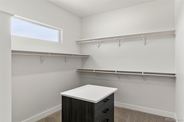 587 E Paradise Dr, Pueblo West, CO 81007 - photo 19