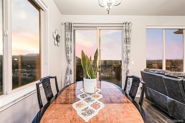 dining space featuring a healthy amount of sunlight and dark hardwood / wood-style flooring