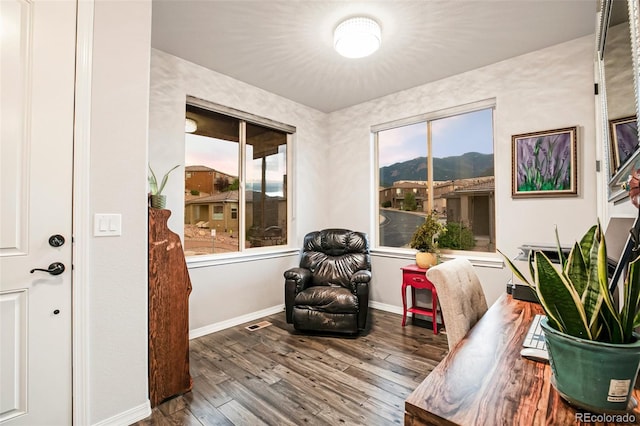 living area featuring wood-type flooring