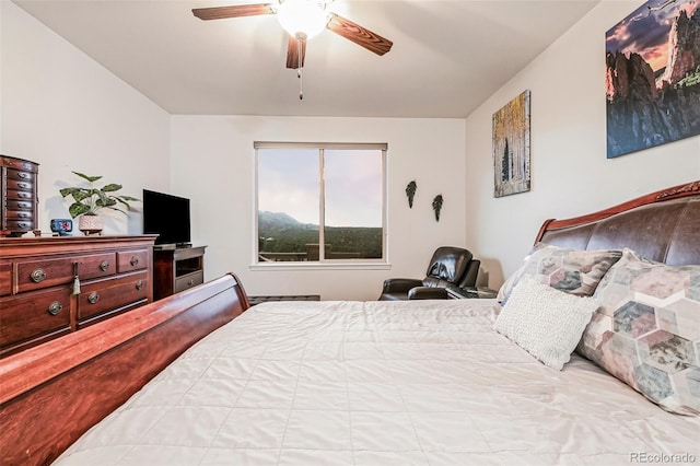 bedroom with ceiling fan