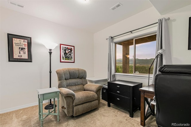 view of carpeted office