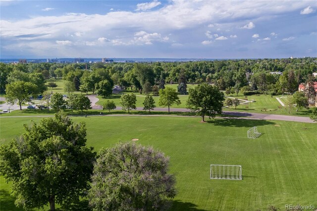2950 E 17th Ave, Denver, CO 80206 - photo 47