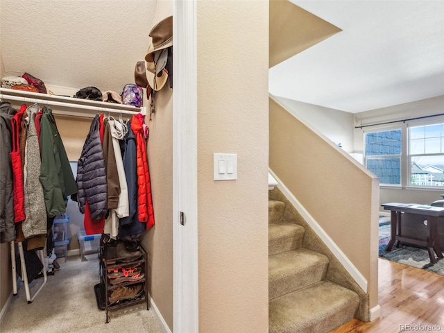 3893 Ute Mountain Trl, Castle Rock, CO 80109 - interior space