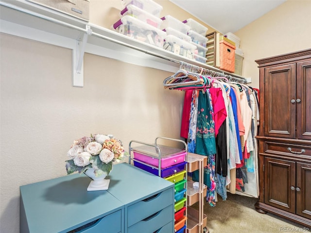 3893 Ute Mountain Trl, Castle Rock, CO 80109 - walk in closet with carpet