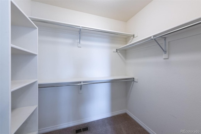 spacious closet featuring carpet flooring