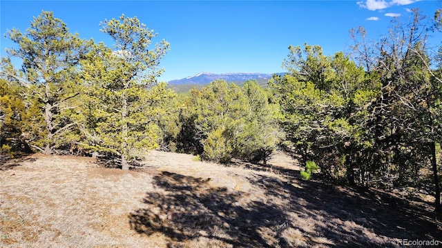 22 Colorado, Mountain Lake Estates, Trinidad CO, 81082 land for sale