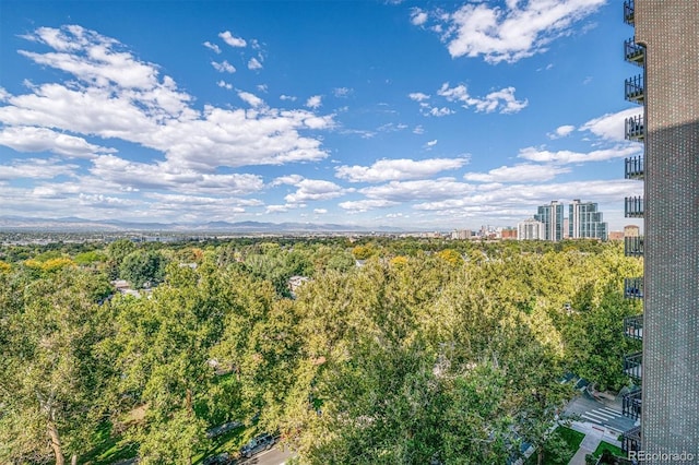 460 S Marion Pkwy Unit 1103, Denver, CO 80209 - view of urban area featuring a heavily wooded area