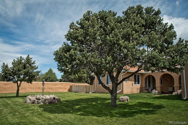 1564 Wagon Wheel Rd, Crestone, CO 81131 - view of yard