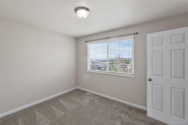1968 Erin Loop, Colorado Springs, CO 80918 - photo 21