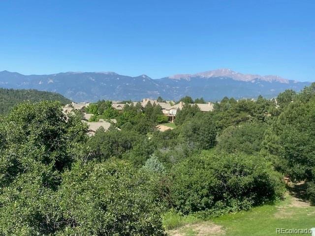 1968 Erin Loop, Colorado Springs, CO 80918 - photo 32