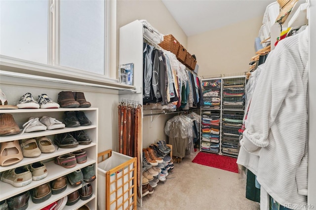 881 Kirby Ct, Watkins, CO 80137 - walk in closet featuring carpet flooring