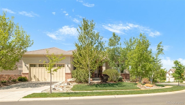 4519 Silver Mountain Loop, Broomfield, CO 80023 - view of property hidden behind natural elements with stucco siding, concrete driveway, a garage, and a tiled roof