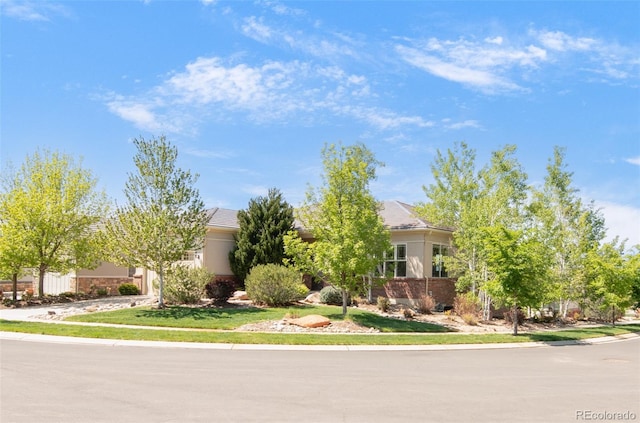 4519 Silver Mountain Loop, Broomfield, CO 80023 - view of obstructed view of property