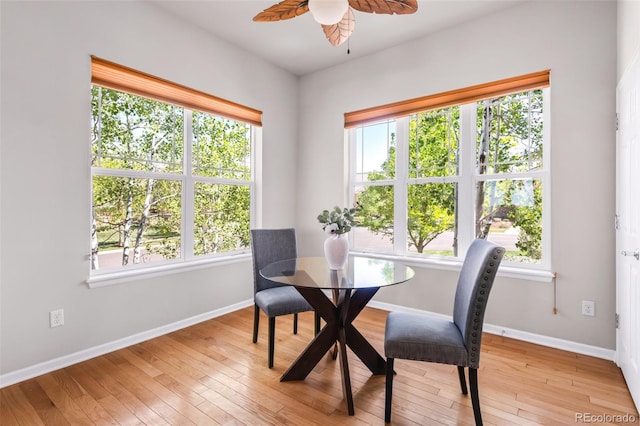 4519 Silver Mountain Loop, Broomfield, CO 80023 - dining space with a ceiling fan, healthy amount of natural light, light wood-style flooring, and baseboards