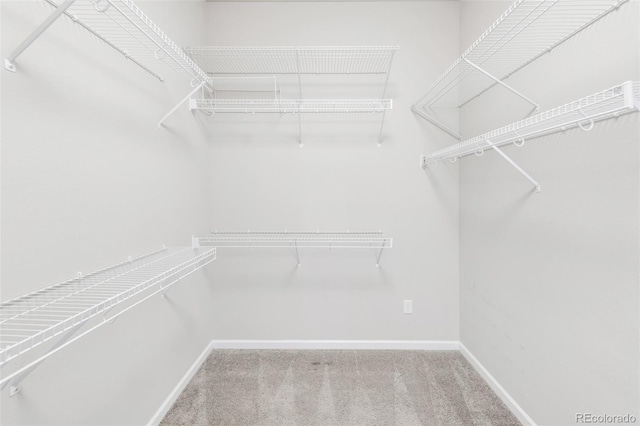 4519 Silver Mountain Loop, Broomfield, CO 80023 - walk in closet featuring carpet
