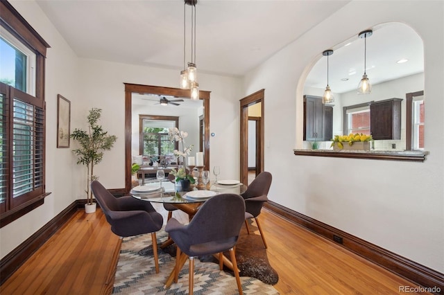 dining space featuring hardwood / wood-style floors and ceiling fan