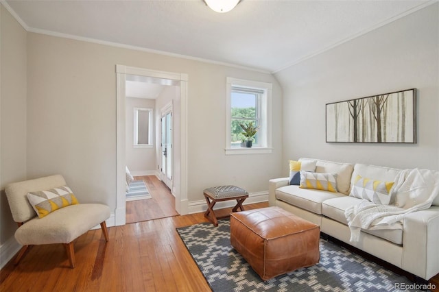 living room featuring crown molding, wood-type flooring, and lofted ceiling