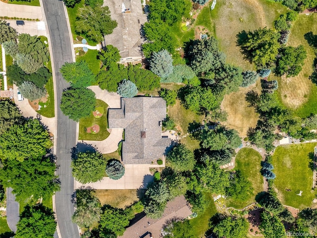 1000 Green Oaks Dr, Greenwood Village, CO 80121 - photo 35