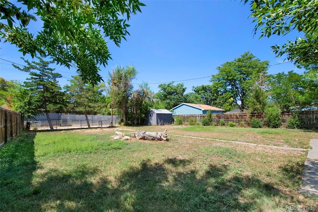 view of yard featuring a storage unit