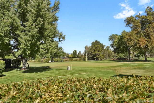 view of home's community with a lawn