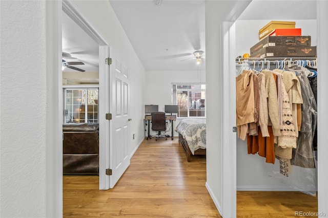 interior space featuring ceiling fan and light wood-type flooring