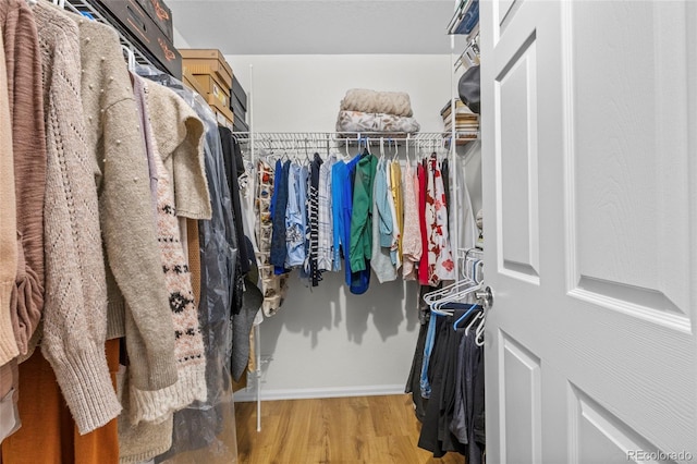 spacious closet with hardwood / wood-style floors