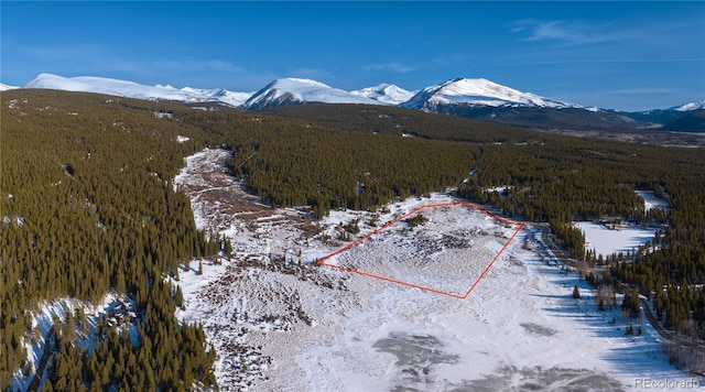 Lakeside Dr, Alma, CO 80420 - photo 3