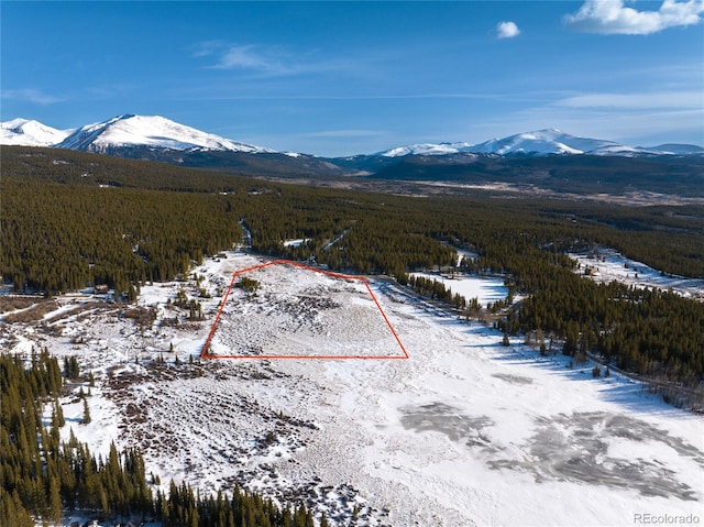 Lakeside Dr, Alma, CO 80420 - photo 4